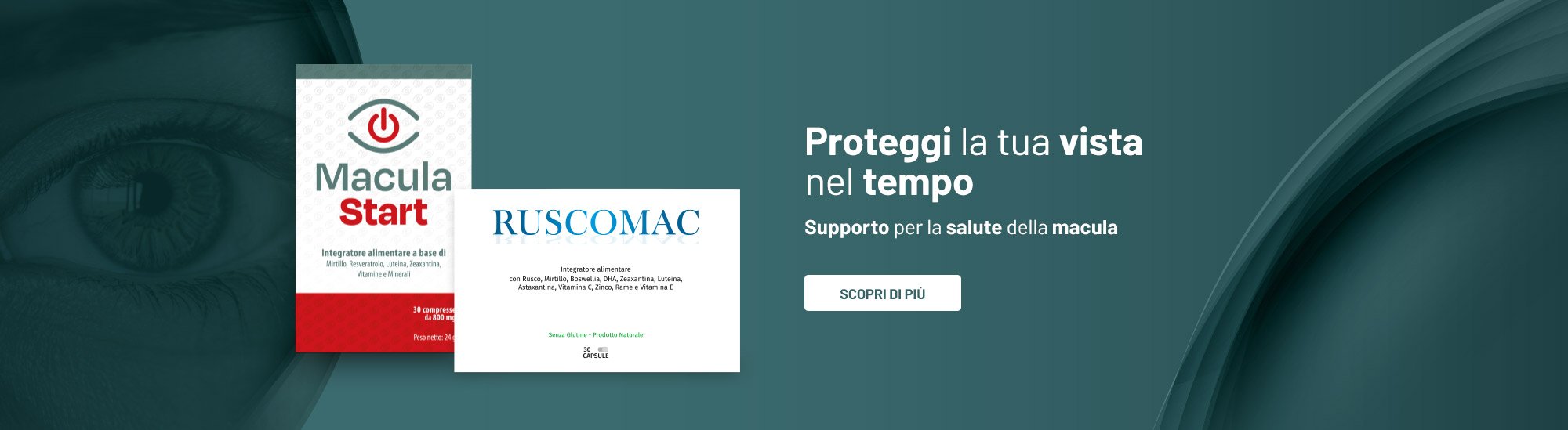 macula